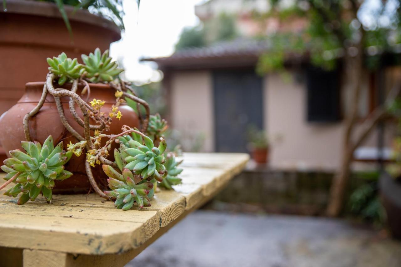Suite Gli Ulivi Colonna ภายนอก รูปภาพ