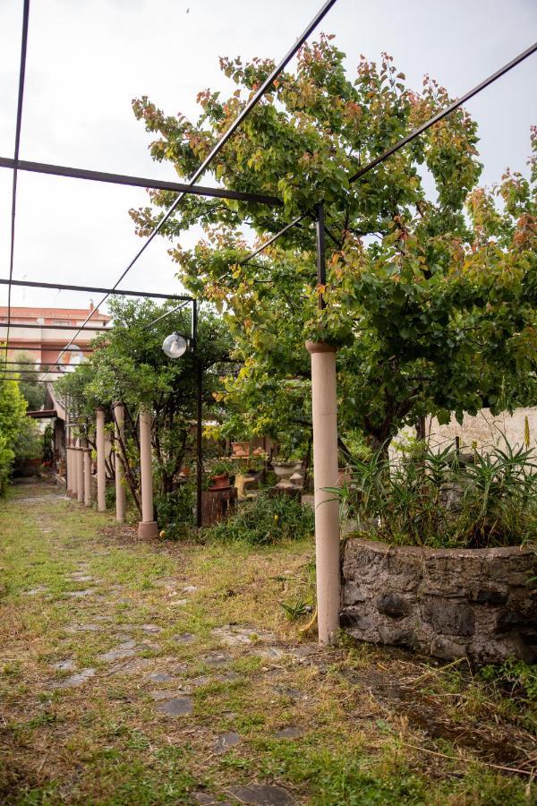 Suite Gli Ulivi Colonna ภายนอก รูปภาพ